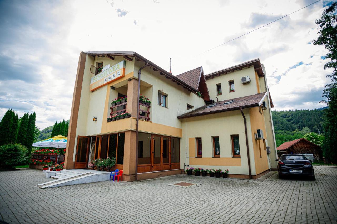 Pensiunea Floare De Colt Dragoslavele Exterior photo