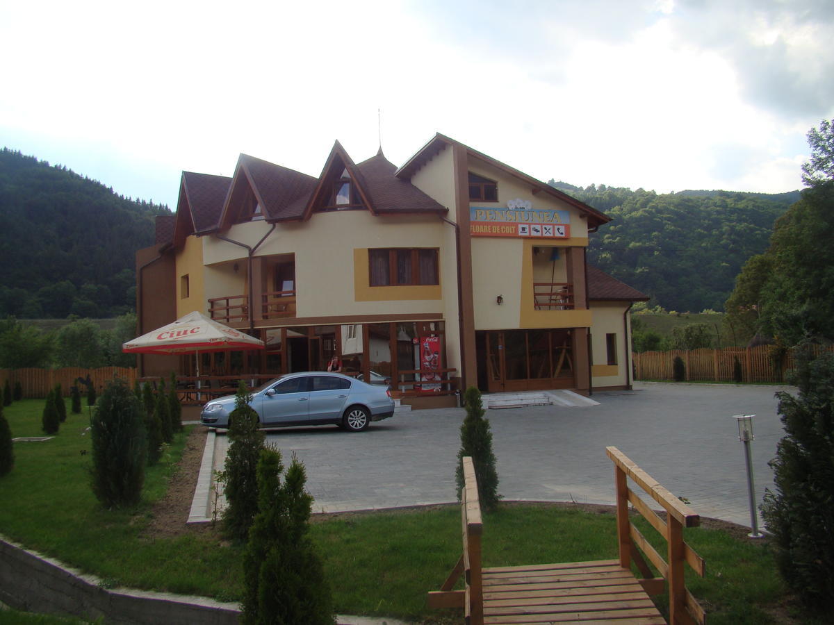 Pensiunea Floare De Colt Dragoslavele Exterior photo