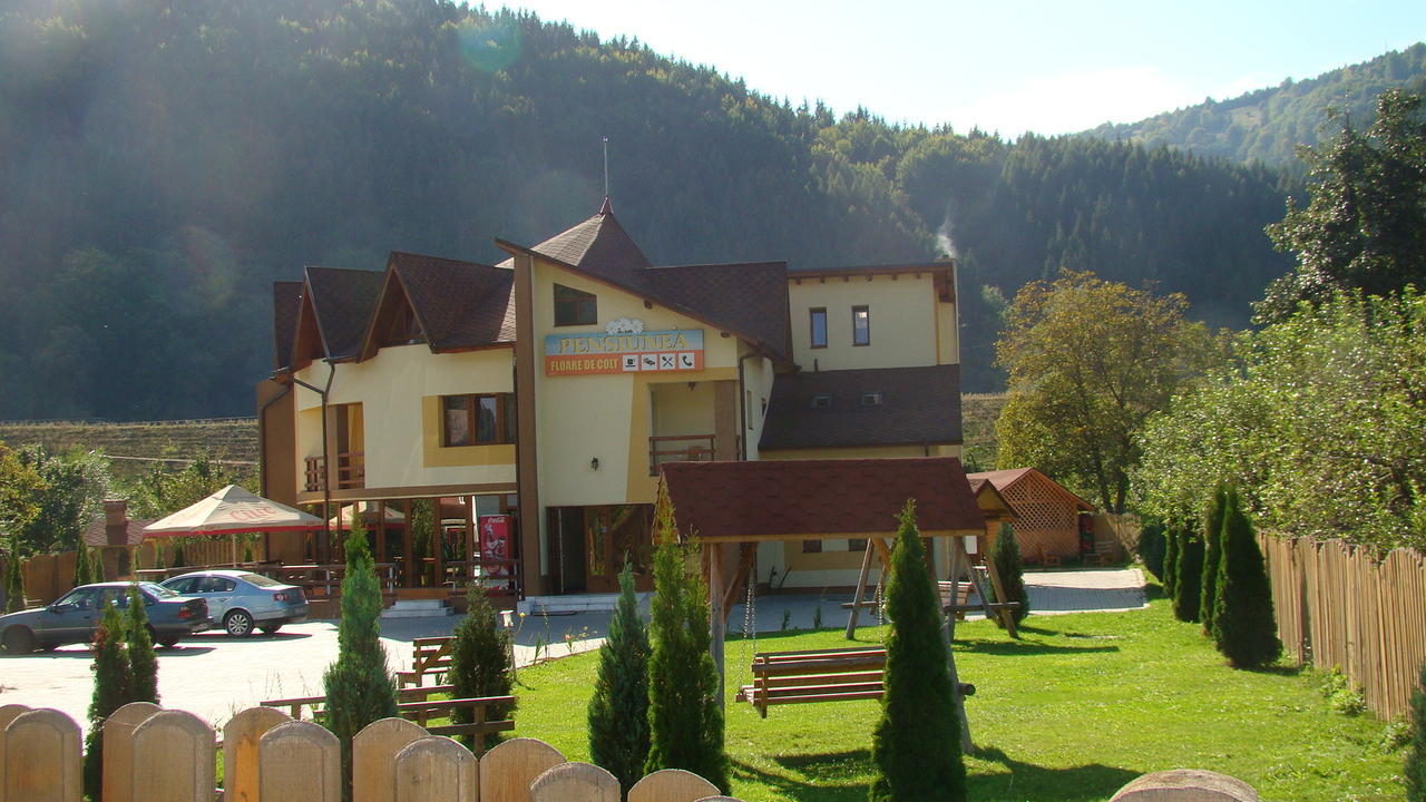 Pensiunea Floare De Colt Dragoslavele Exterior photo