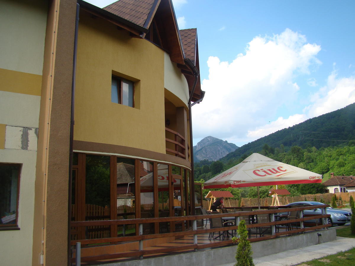 Pensiunea Floare De Colt Dragoslavele Exterior photo