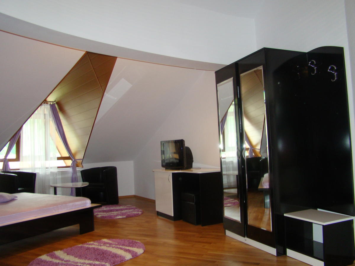 Pensiunea Floare De Colt Dragoslavele Room photo