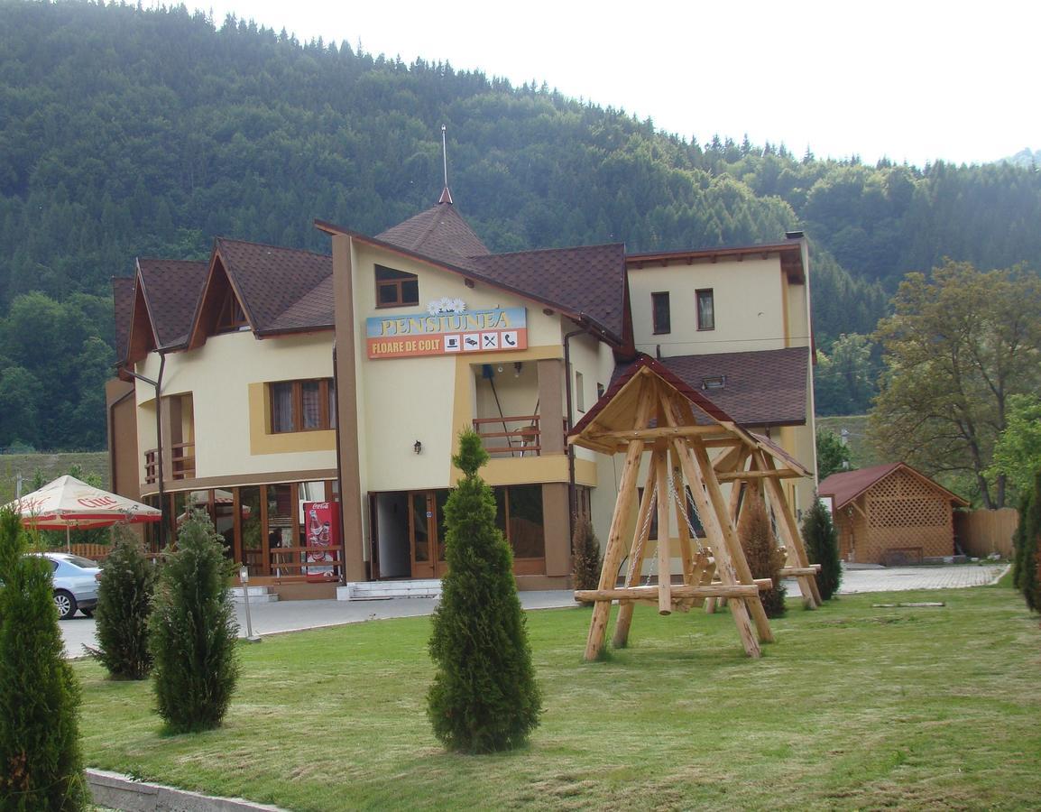 Pensiunea Floare De Colt Dragoslavele Exterior photo