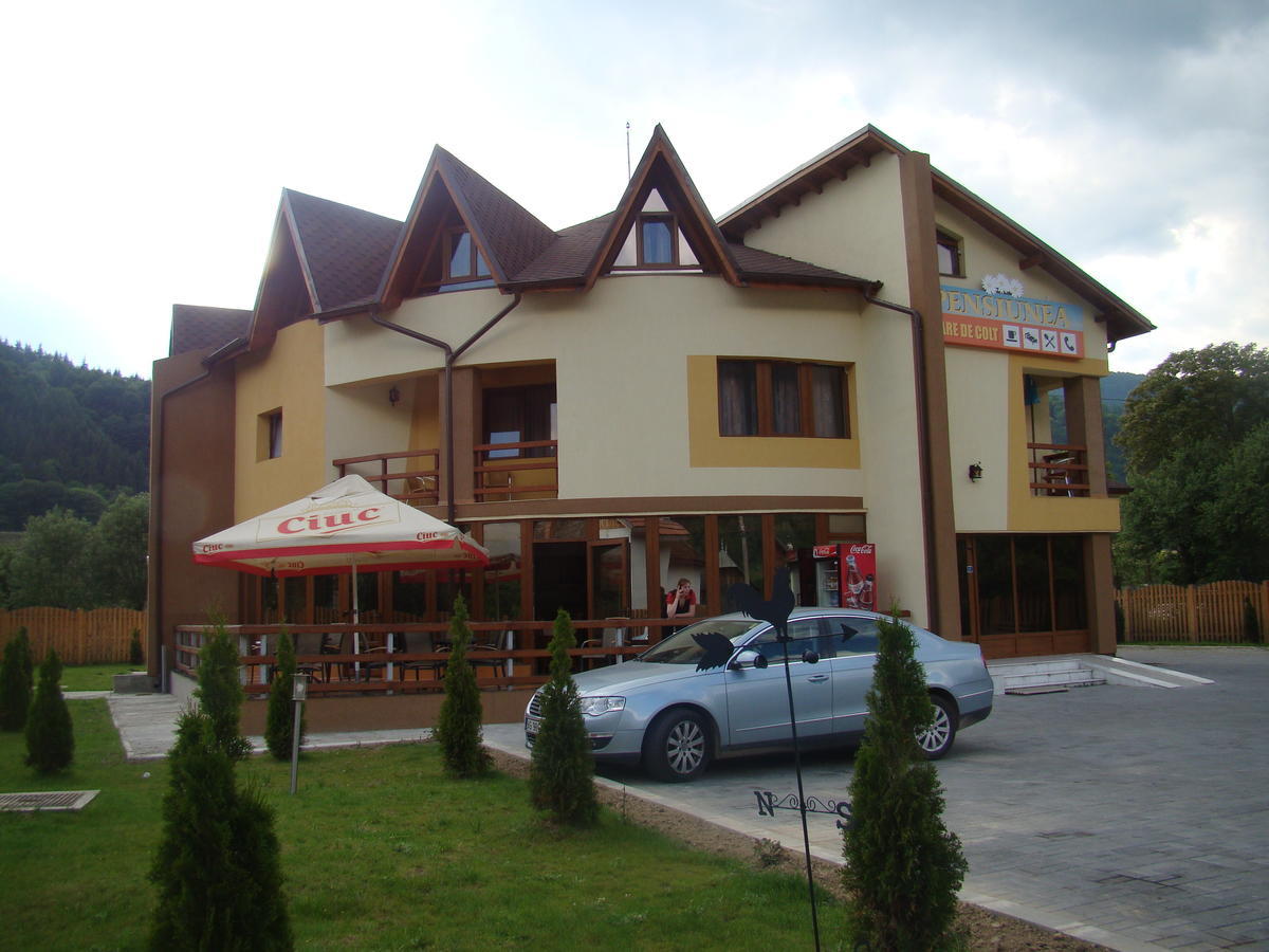 Pensiunea Floare De Colt Dragoslavele Exterior photo