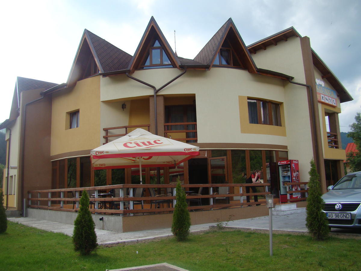 Pensiunea Floare De Colt Dragoslavele Exterior photo