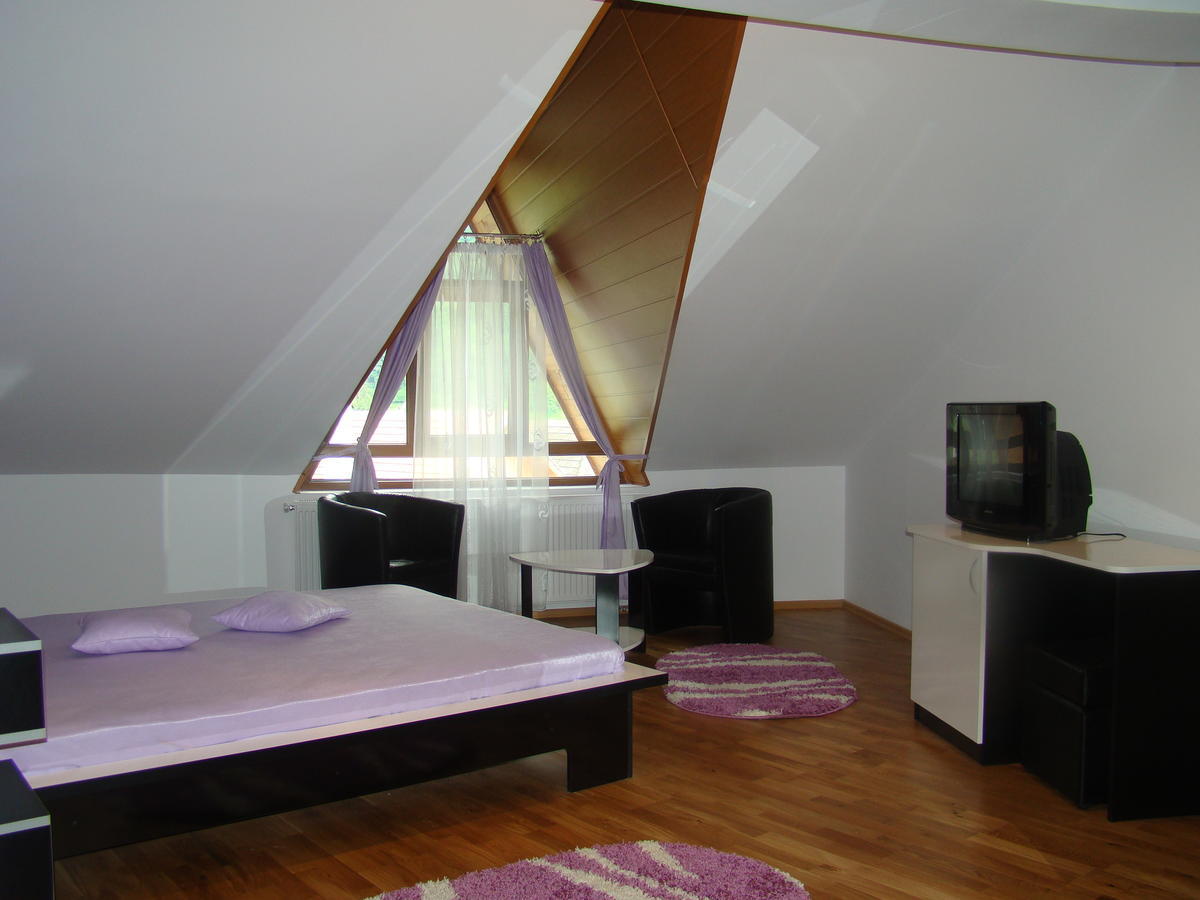Pensiunea Floare De Colt Dragoslavele Room photo