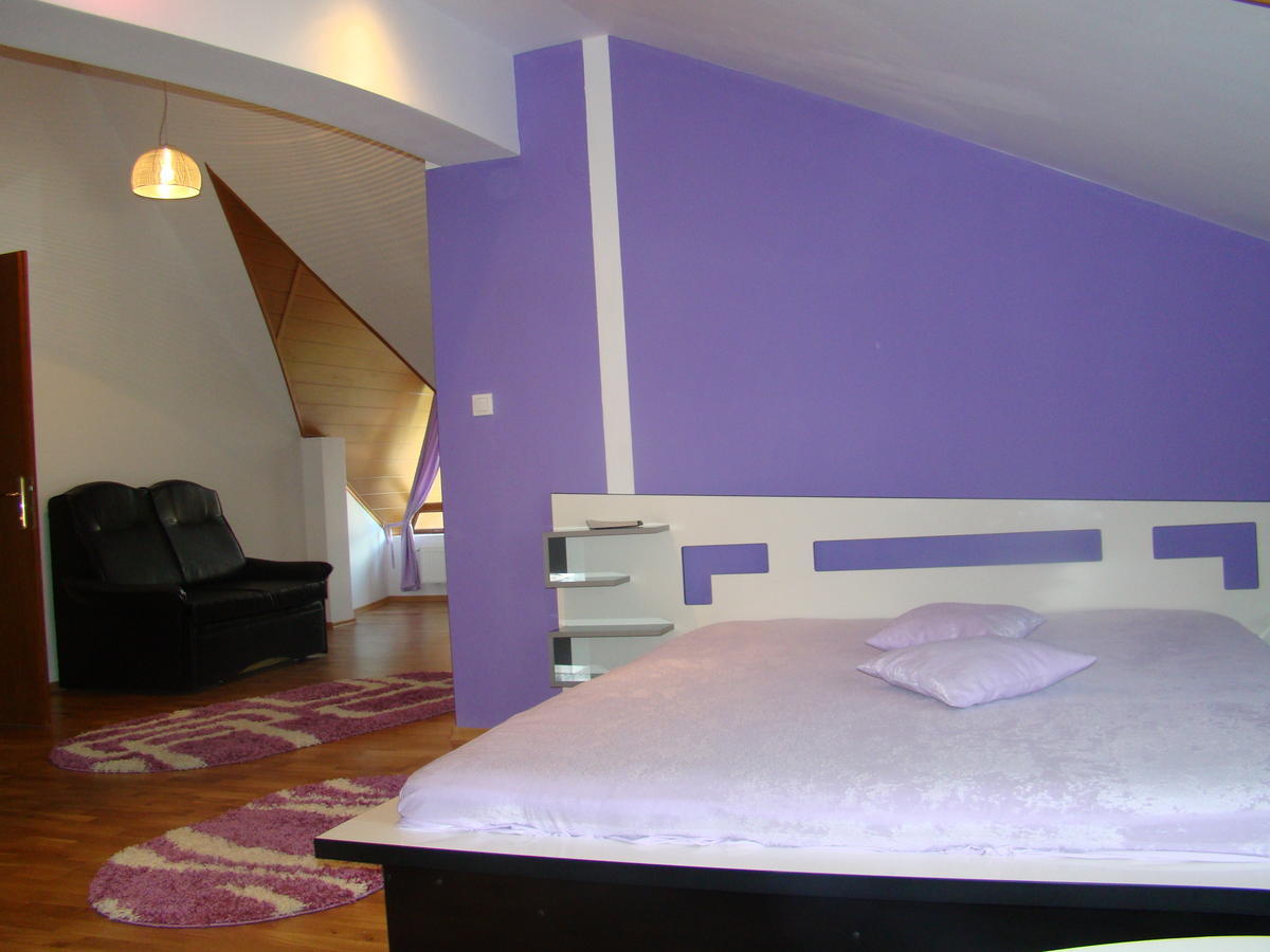 Pensiunea Floare De Colt Dragoslavele Room photo