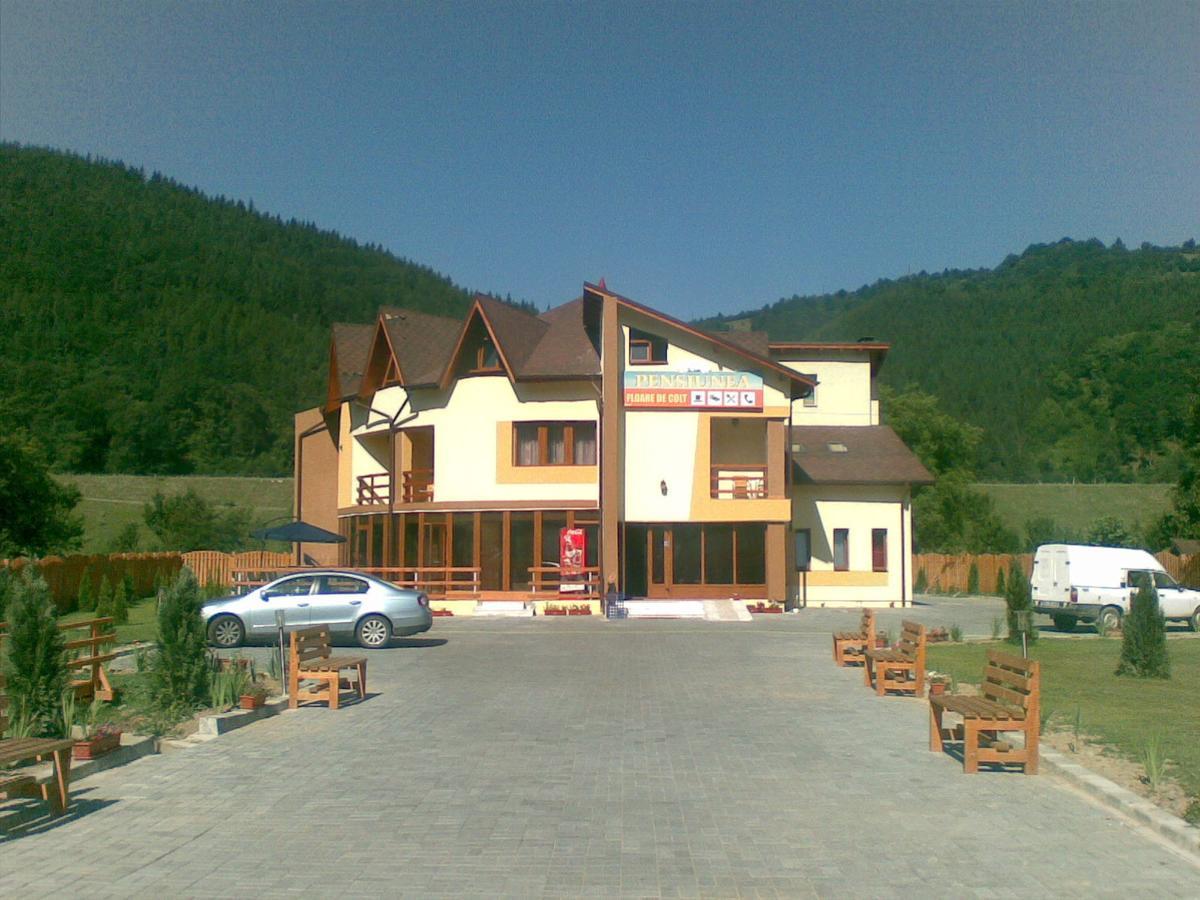 Pensiunea Floare De Colt Dragoslavele Exterior photo
