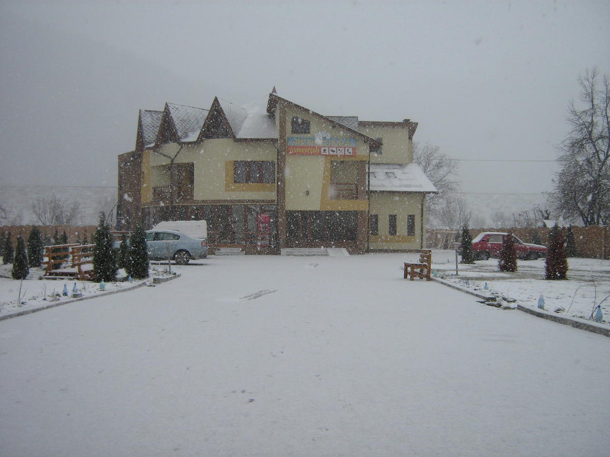 Pensiunea Floare De Colt Dragoslavele Exterior photo